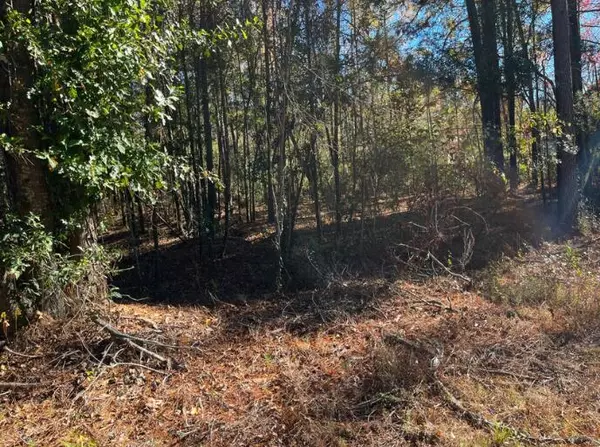 Walterboro, SC 29488,0000 Jefferies Hwy