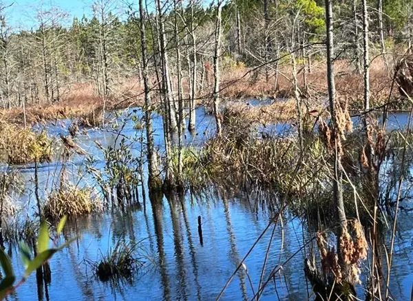 Walterboro, SC 29488,0000 Jefferies Hwy