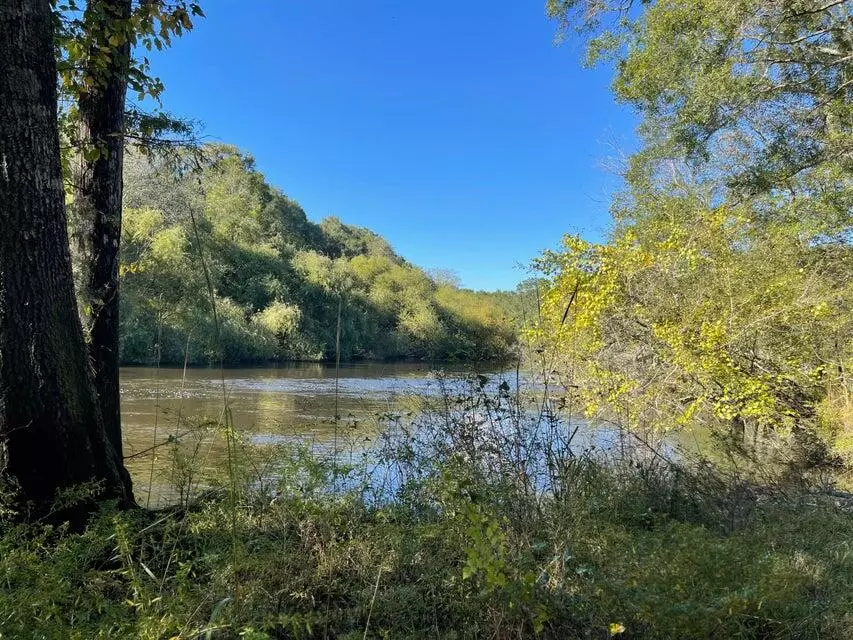 Ridgeville, SC 29472,149 Merry Pl