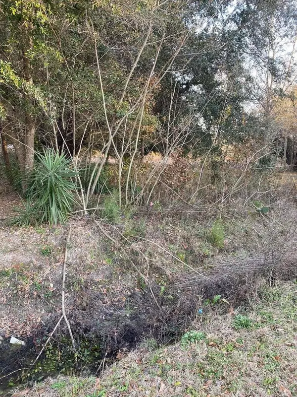 Eutawville, SC 29048,189 Sabrina Ln