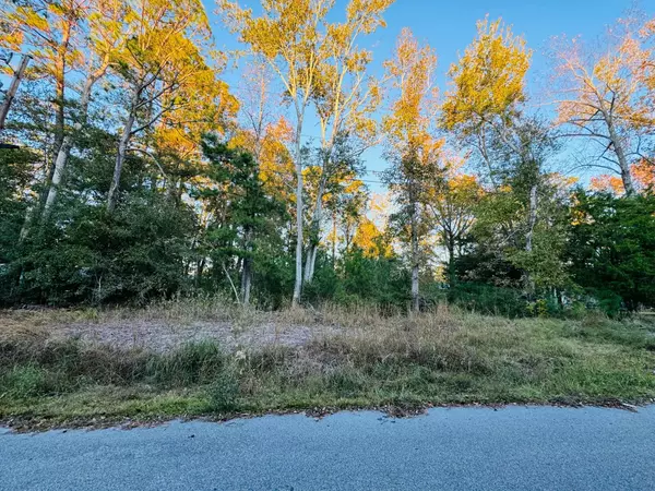 211 Susanne St, Hampton, SC 29924