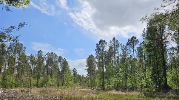 Eutawville, SC 29048,0 Wyman (Lot #9) Rd