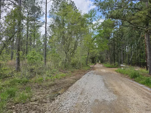 Eutawville, SC 29048,0 Wyman (Lot #9) Rd