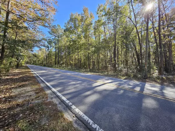 Johns Island, SC 29455,0 Fickling Hill Rd