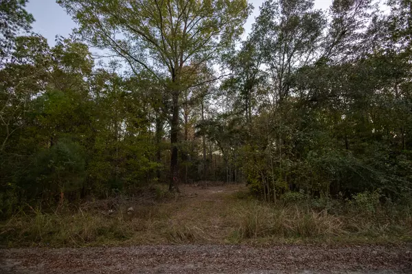 Jacksonboro, SC 29452,00 Hope Plantation Lane