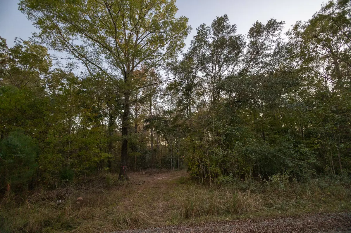 Jacksonboro, SC 29452,00 Hope Plantation Lane