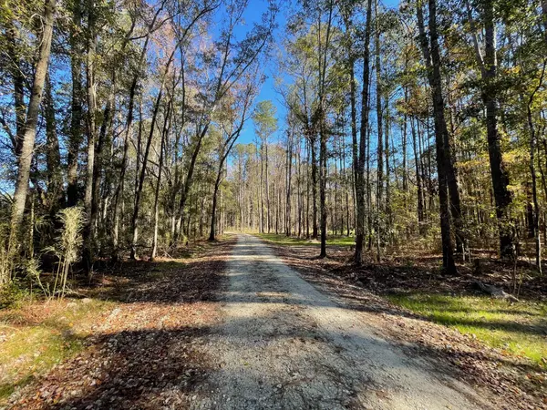 Ridgeville, SC 29472,5 Fish Road