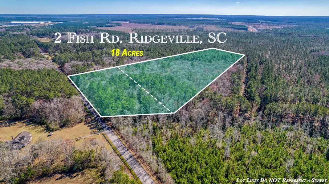10 Fish Rd, Ridgeville, SC 29472