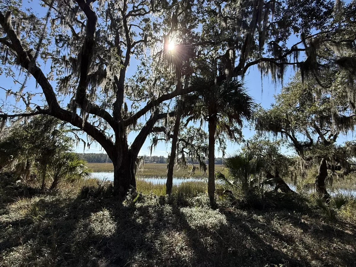 Edisto Island, SC 29438,8341 Crooked Creek Ln