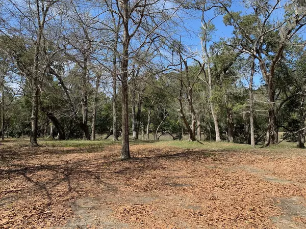 Yonges Island, SC 29449,6533 Riggs Ln