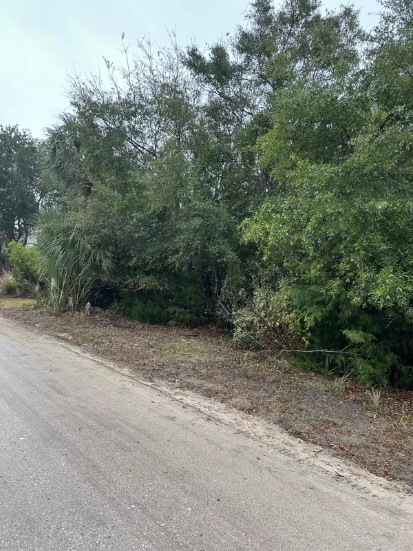 Edisto Island, SC 29438,2306 Seabrook St