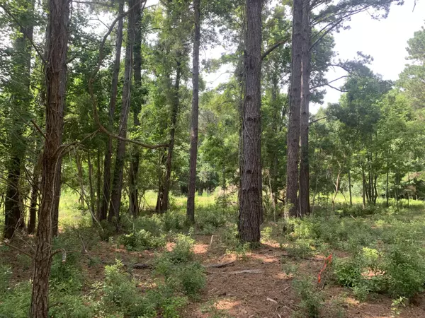 Edisto, SC 29438,68 Seaside Lane