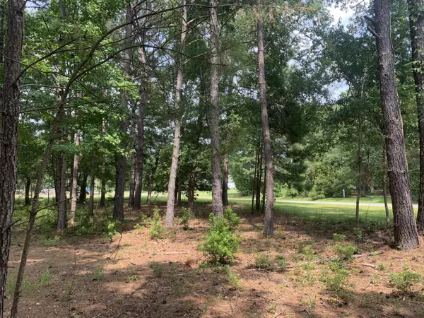 Edisto, SC 29438,68 Seaside Lane