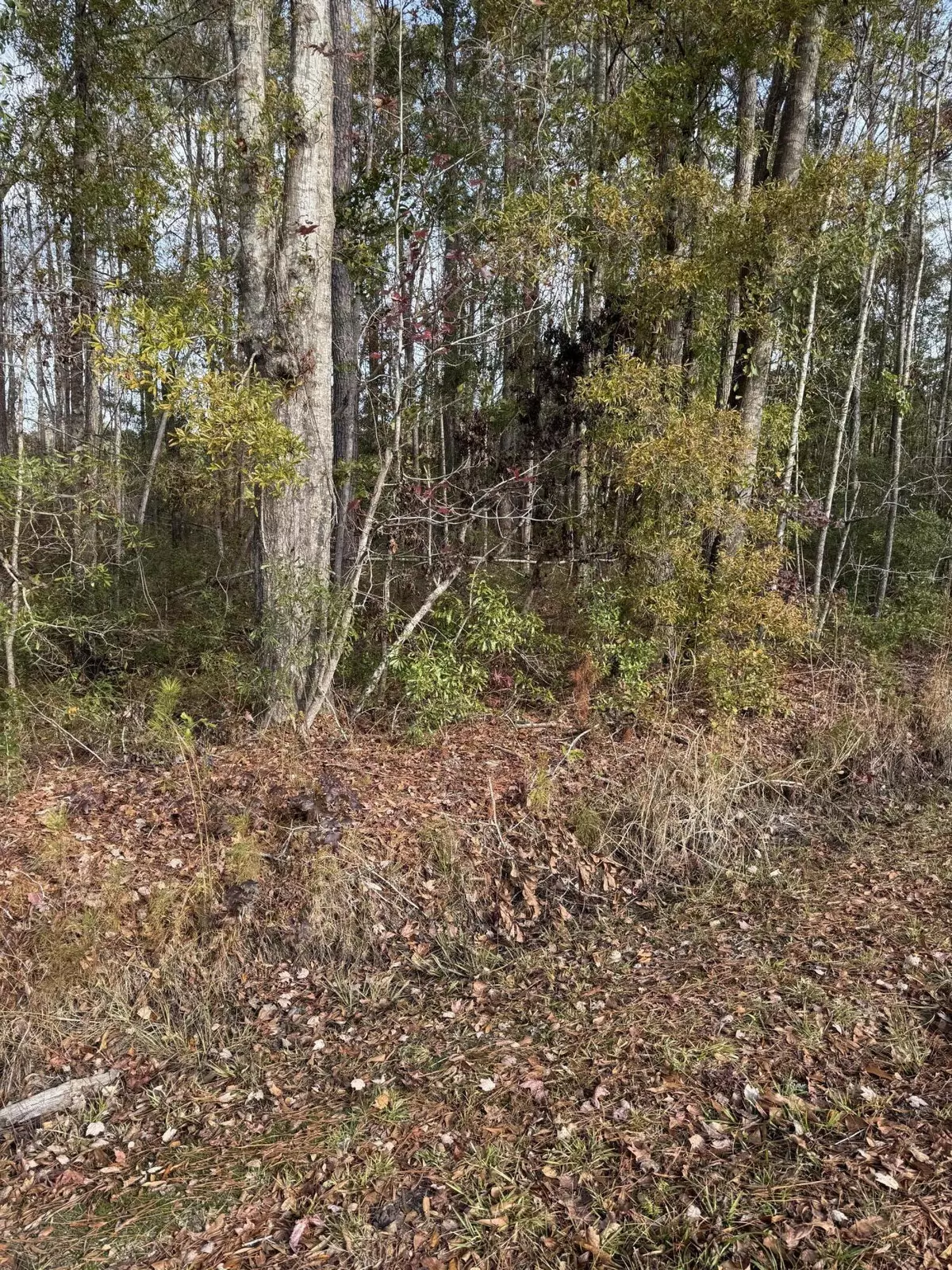 Ruffin, SC 29475,0 Appleby Rd