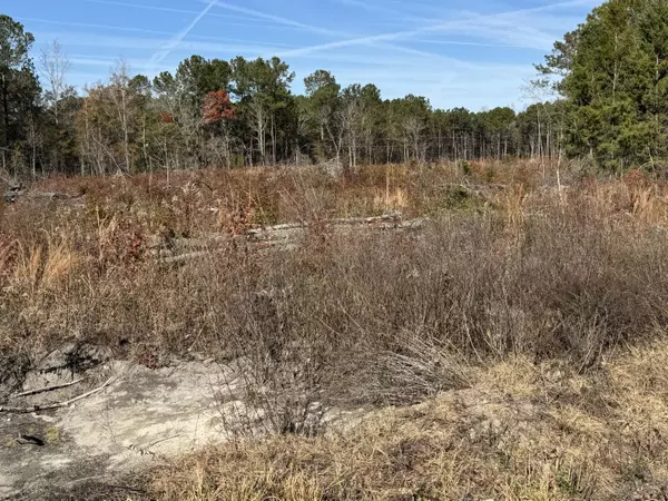 Saint Stephen, SC 29479,940 Fauling Rd