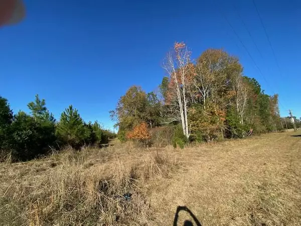 Cope, SC 29038,0 Bamberg Hwy