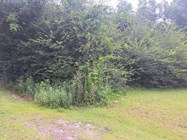 Holly Hill, SC 29059,01 Whitesand Road