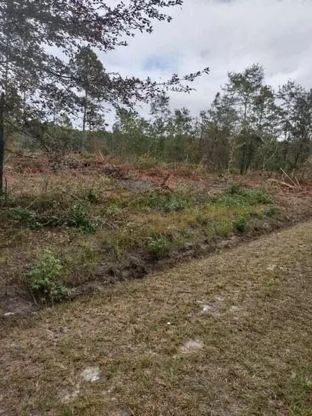 7 Rehoboth Rd, Cottageville, SC 29435