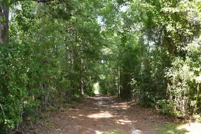 Pineville, SC 29468,Lot B Bobbie Ln