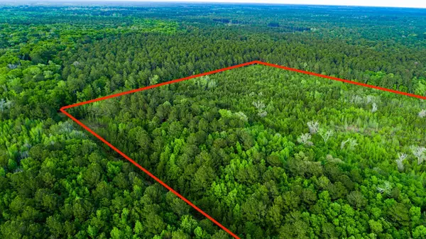 Hardeeville, SC 29927,Tbd Dunham Williams Rd