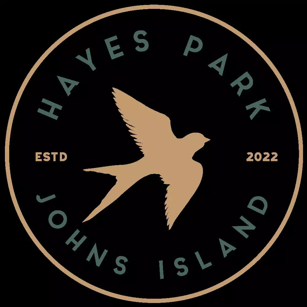 Johns Island, SC 29455,524 Hayes Park Blvd #Lot 3