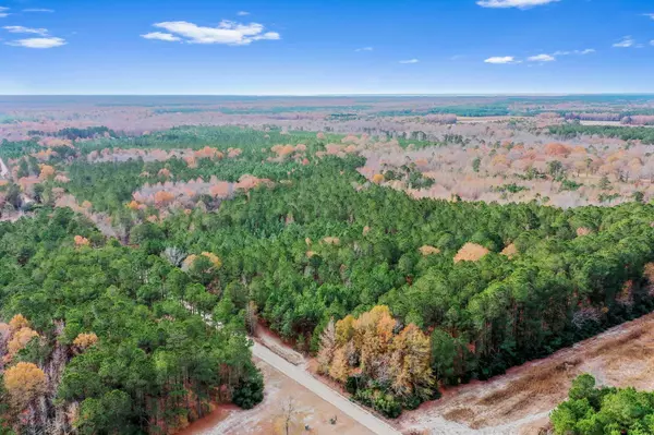 0 S Brewington Rd, Greeleyville, SC 29056