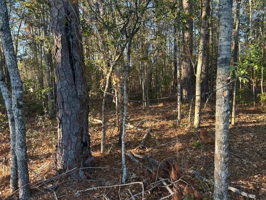 Ravenel, SC 29470,5860 Martin St