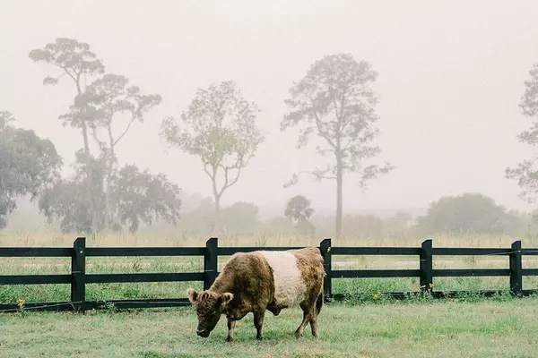Johns Island, SC 29455,4025 Chantey Crest