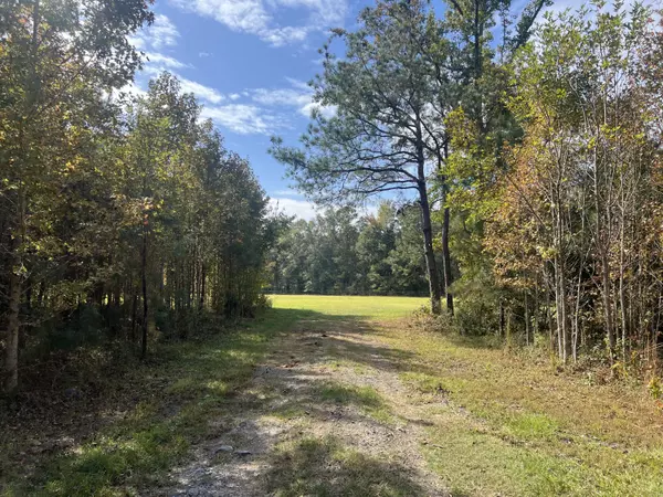 Reevesville, SC 29471,0 Independent School Rd