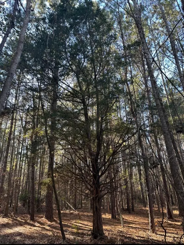 Branchville, SC 29432,2041 Edisto River Rd