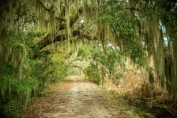 Charleston, SC 29414,19 Middleton Oaks Rd