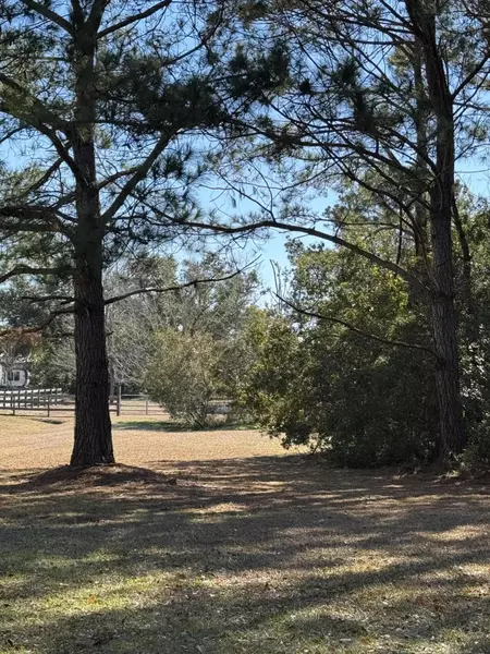 7983 Legare Rd, Edisto Island, SC 29438