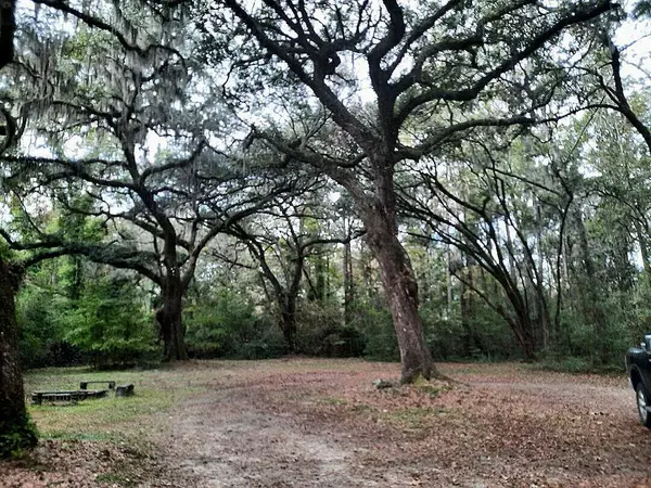 Adams Run, SC 29426,7992 Highway 162