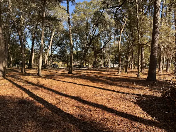 0 Cane Slash Rd, Johns Island, SC 29455