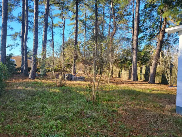 Kingstree, SC 29556,706 St John St