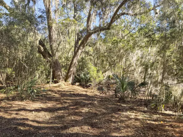 Johns Island, SC 29455,5528 Chisolm Rd