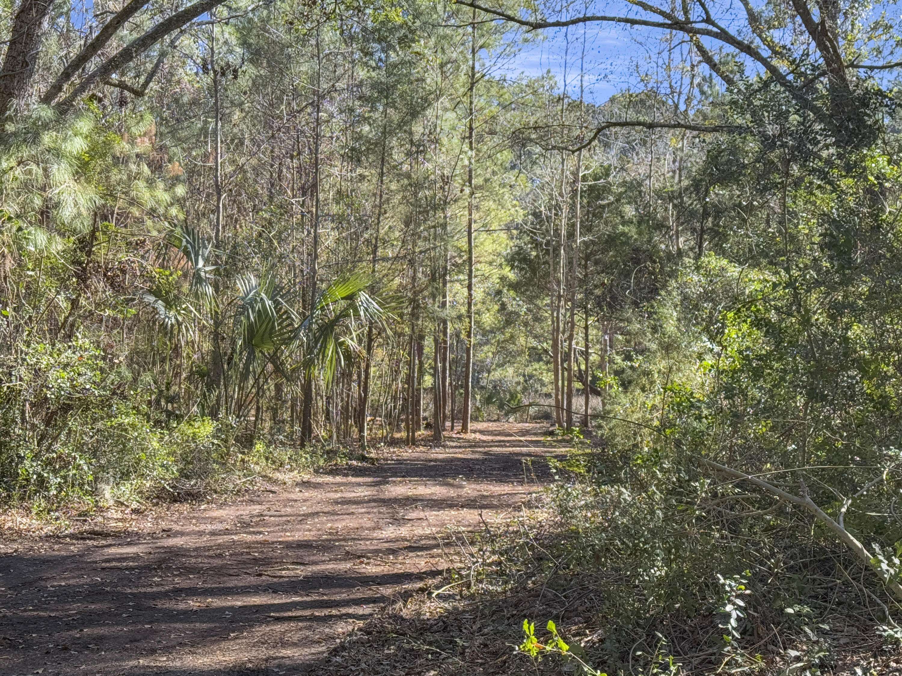 Johns Island, SC 29455,5528 Chisolm Rd