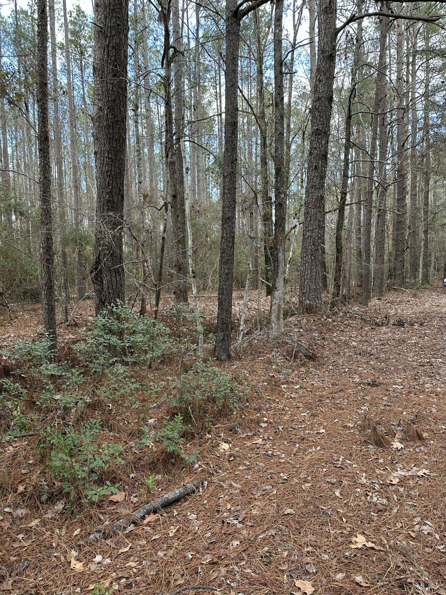 00 Cummings Chapel Road, Ridgeville, SC 29472