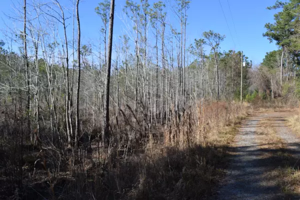 Moncks Corner, SC 29461,0 Black Tom Rd