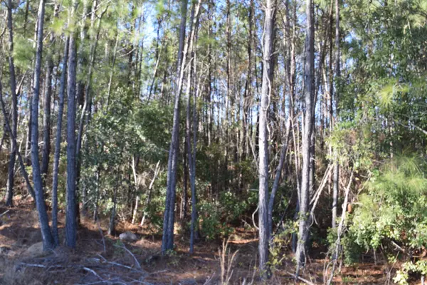 Moncks Corner, SC 29461,0 Black Tom Rd