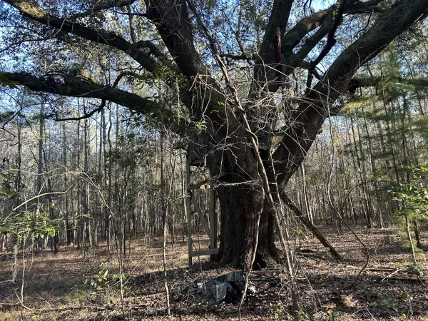 Ravenel, SC 29470,7352 Sc-165