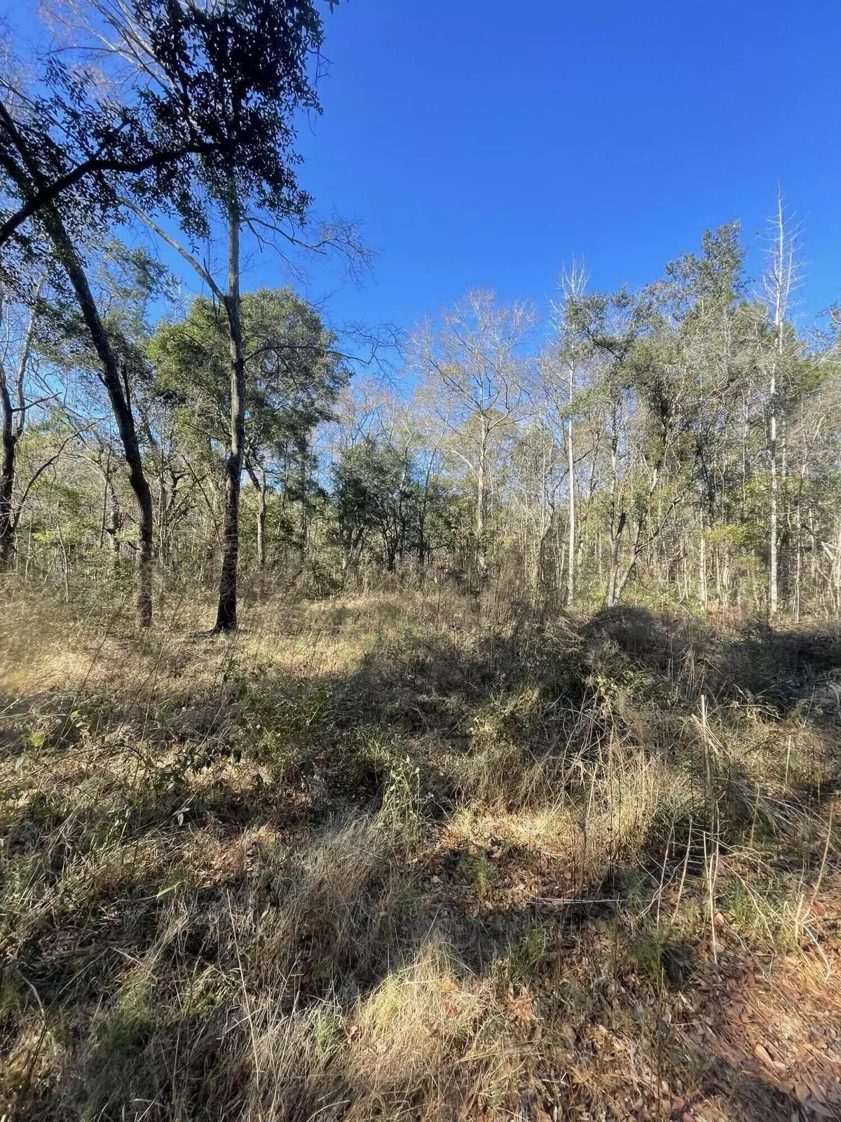 Mcclellanville, SC 29458,00 N Highway 17