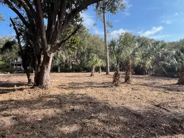 Edisto Island, SC 29438,8917 Palmetto Rd