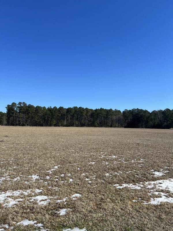 Moncks Corner, SC 29461,000 Hard Pinch Rd