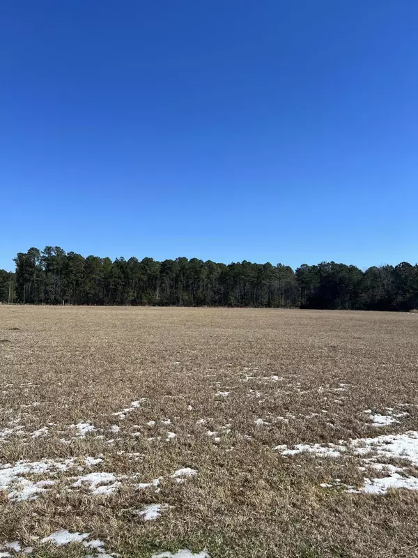 Moncks Corner, SC 29461,000 Hard Pinch Rd #A & B