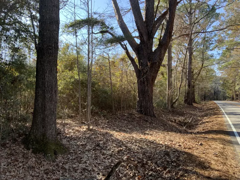 514 Paige Point Rd, Seabrook, SC 29940