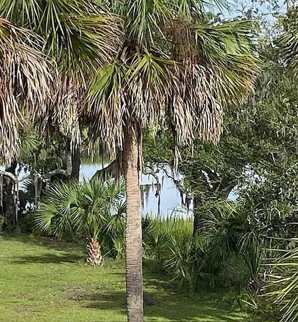 Edisto, SC 29438,83 Cocktail Ln