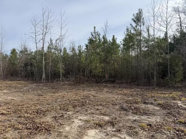 Eutawville, SC 29048,249 Ash Hill Dr