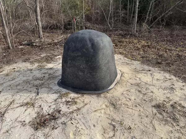 Eutawville, SC 29048,249 Ash Hill Dr