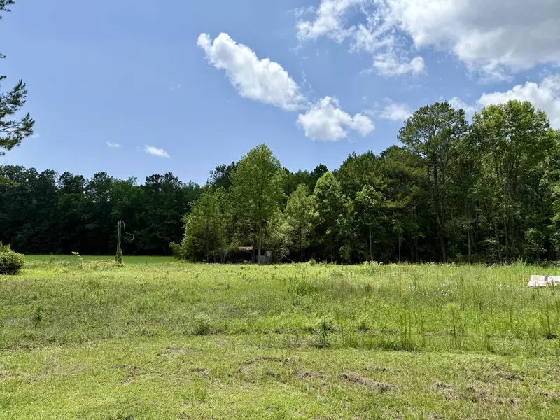 149 Donald Ln, Bonneau, SC 29431